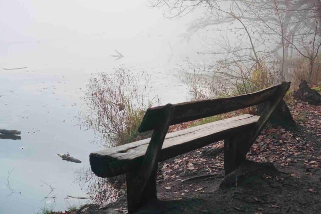 Dachwohnung Mit Wasserblick Und Eigenem Bootssteg Berlin Exteriör bild
